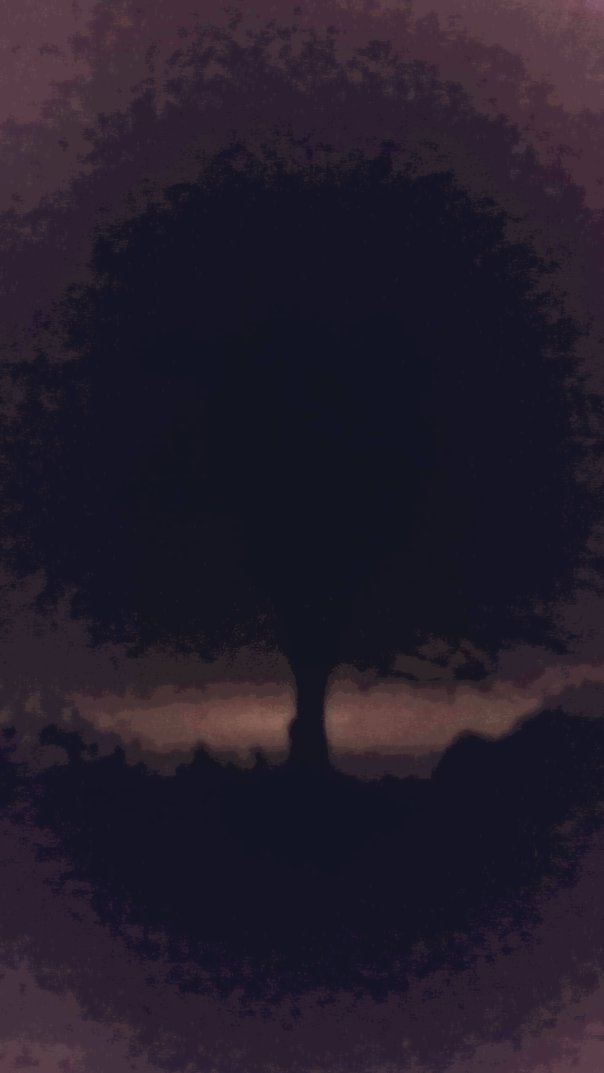 night tree two